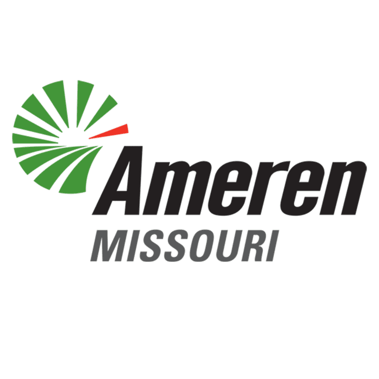 Ameren_1x1